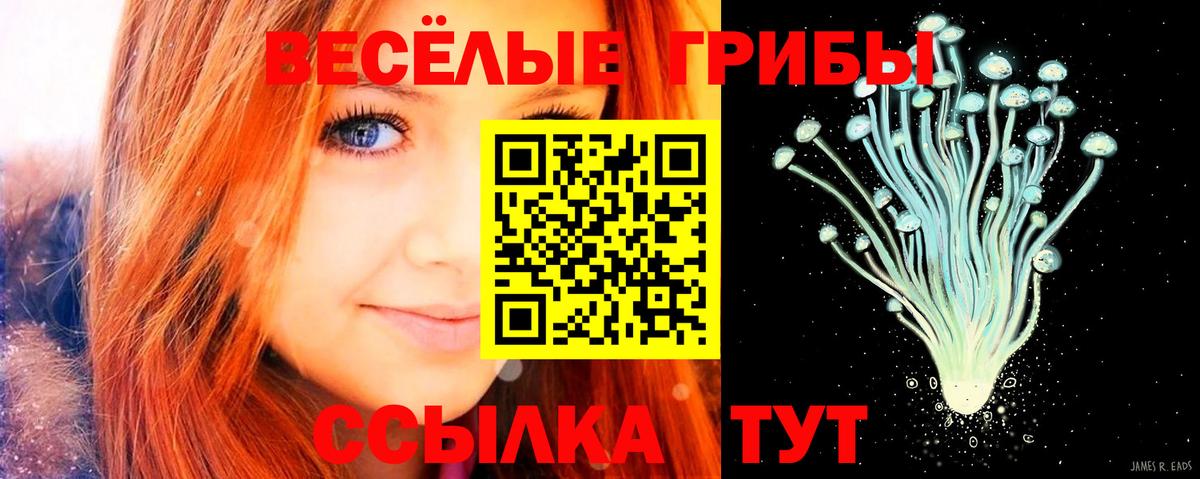 Галлюциногенные грибы ЛСД Карпинск